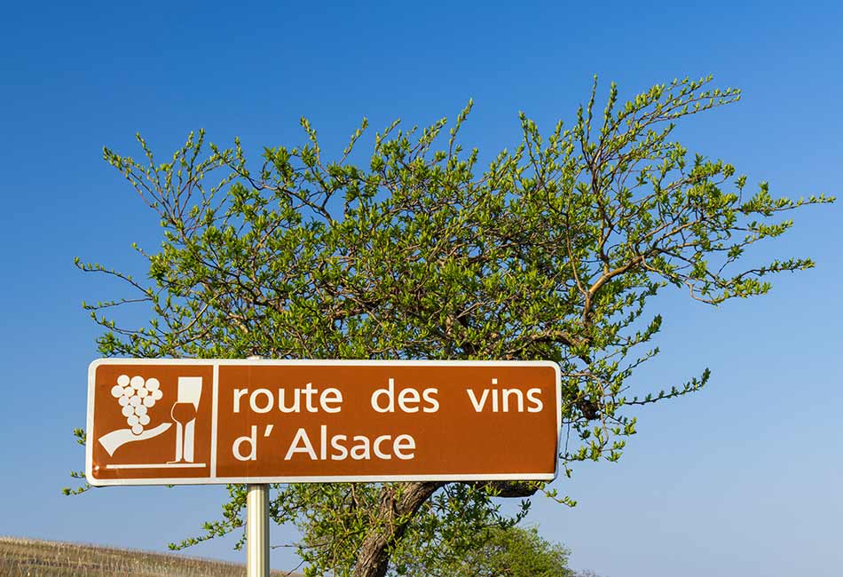 Vinblogg Alsace vin vinregion